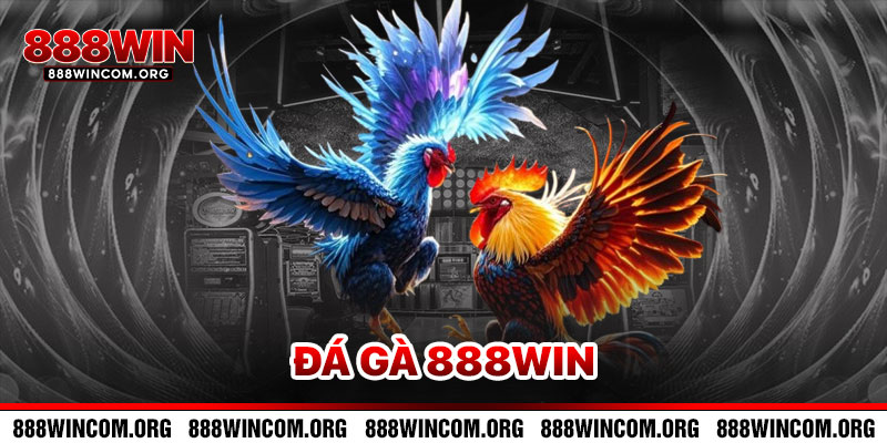 Đá Gà 888Win