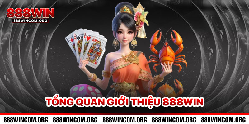 Tổng Quan Về Giới thiệu 888win